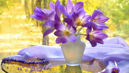 1757170 (a): :1920x1080